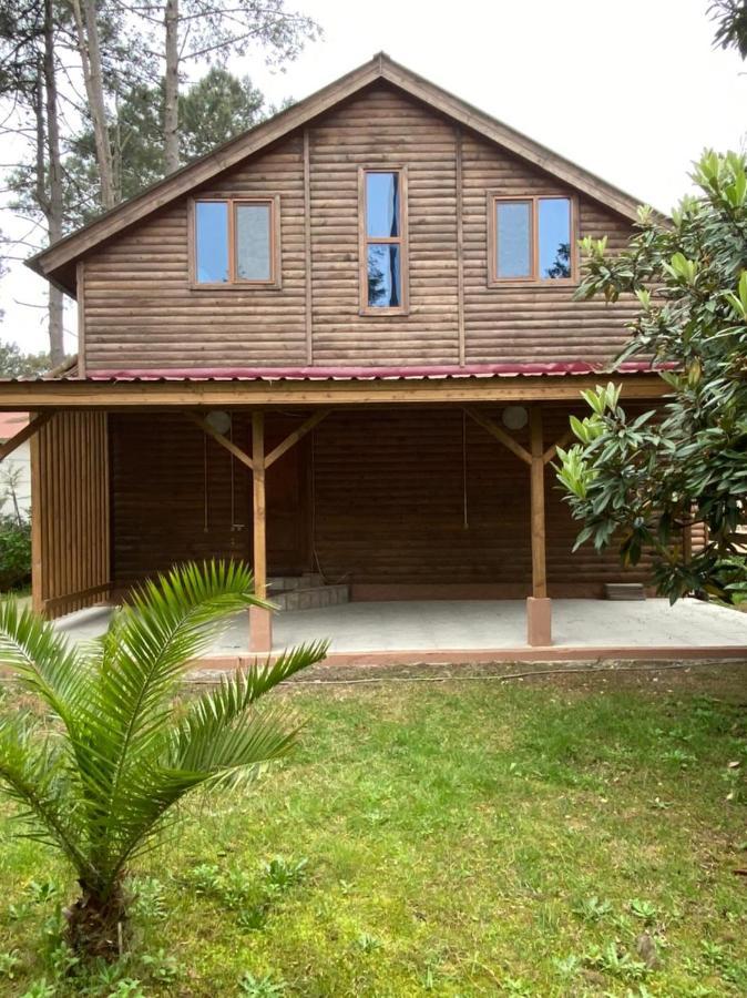 Green Cottage Shekvetili Ureki Exterior photo