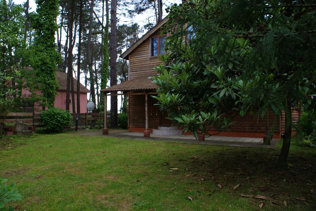 Green Cottage Shekvetili Ureki Exterior photo
