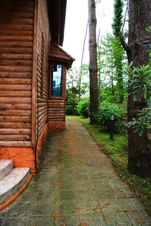 Green Cottage Shekvetili Ureki Exterior photo